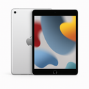 Apple iPad 9 256 GB Silver - Wi-Fi & Cellular